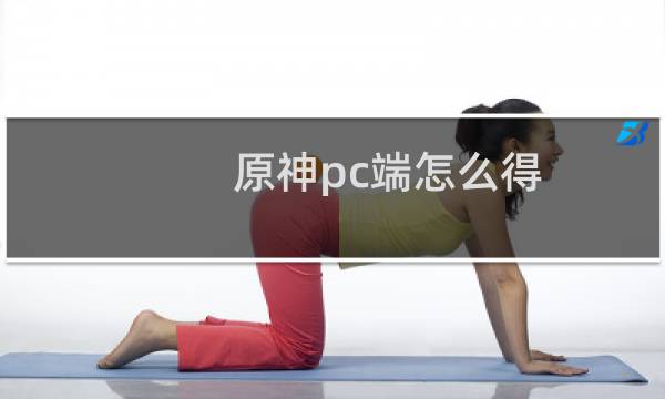 原神pc端怎么得