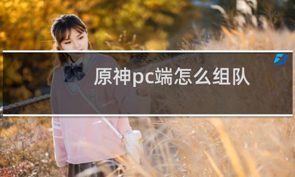 原神pc端怎么组队