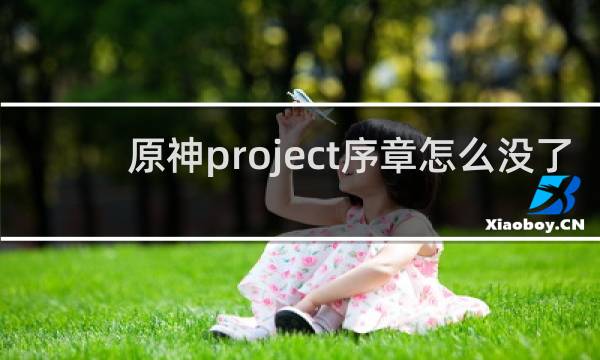 原神project序章怎么没了