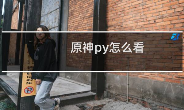 原神py怎么看