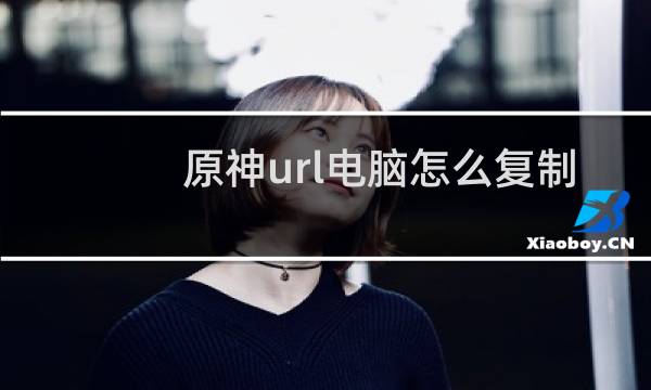 原神url电脑怎么复制