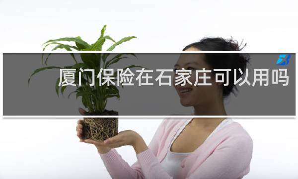 厦门保险在石家庄可以用吗
