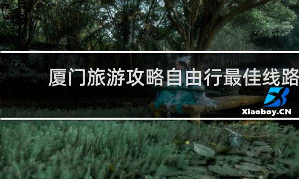 厦门旅游攻略自由行最佳线路