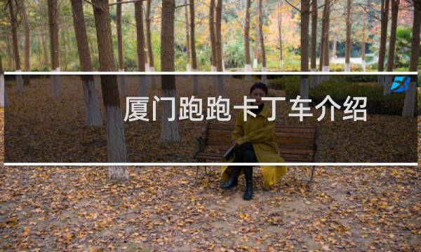 厦门跑跑卡丁车介绍