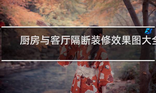 厨房与客厅隔断装修效果图大全