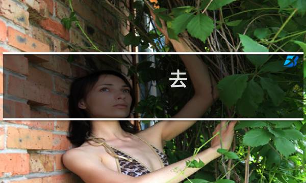 去 你的旅行