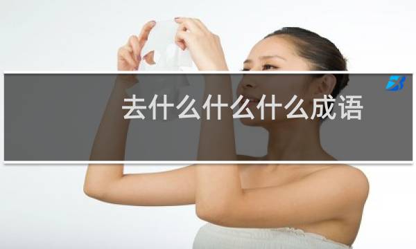 去什么什么什么成语