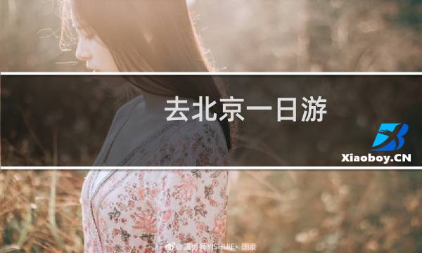 去北京一日游