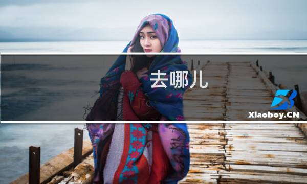 去哪儿 机票查询