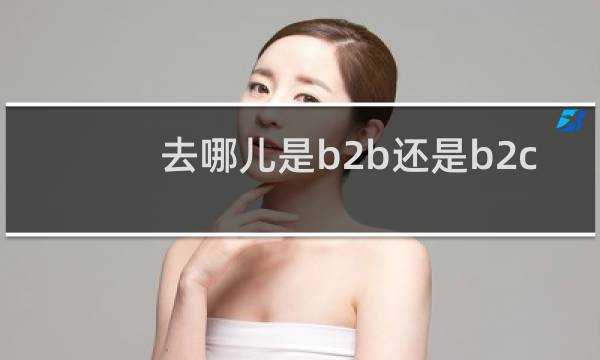 去哪儿是b2b还是b2c