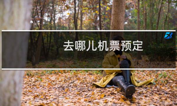 去哪儿机票预定