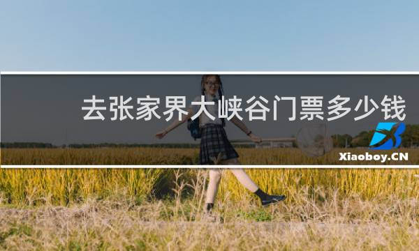 去张家界大峡谷门票多少钱