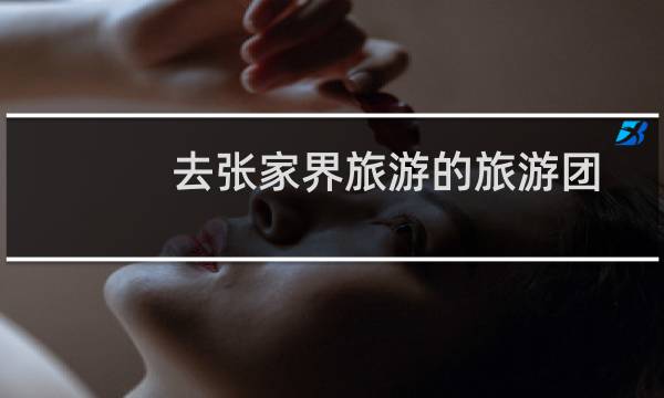 去張家界旅游的旅游團