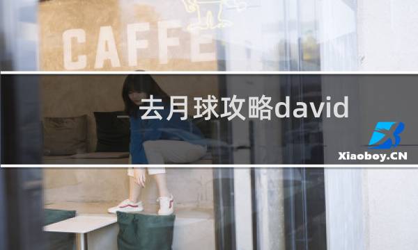 去月球攻略david