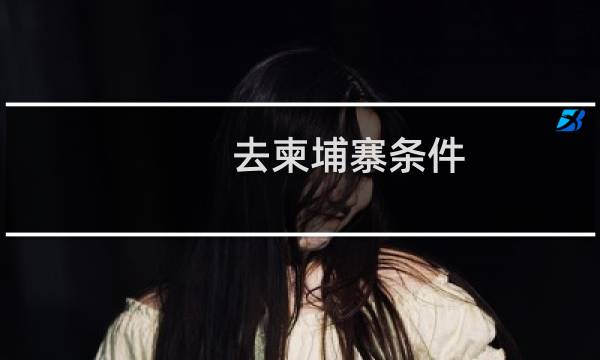 去柬埔寨条件