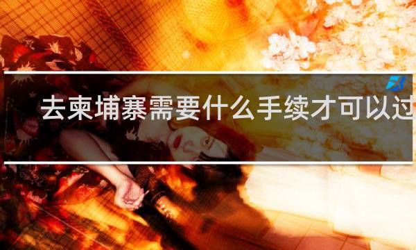 去柬埔寨需要什么手续才可以过去