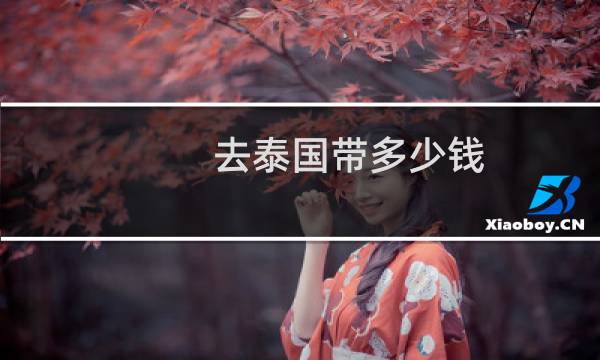去泰国带多少钱