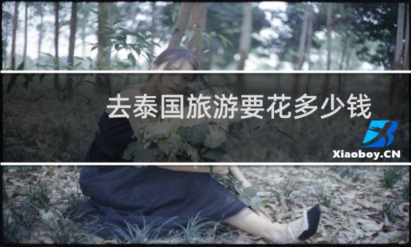 去泰国旅游要花多少钱