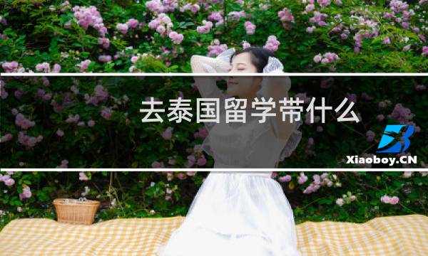 去泰国留学带什么