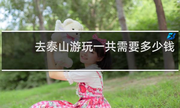 去泰山游玩一共需要多少钱