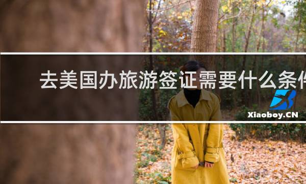 去美國辦旅游簽證需要什么條件