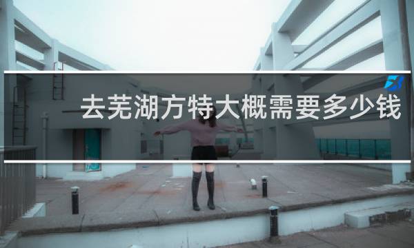 去芜湖方特大概需要多少钱
