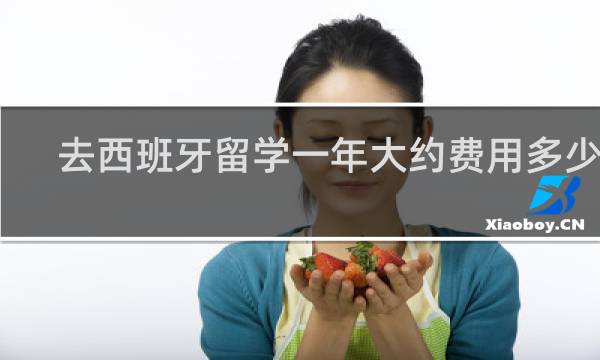 去西班牙留学一年大约费用多少钱