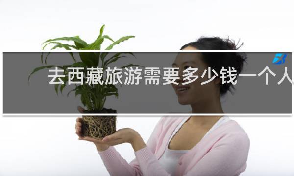 去西藏旅游需要多少钱一个人
