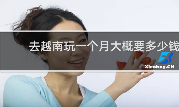 去越南玩一个月大概要多少钱
