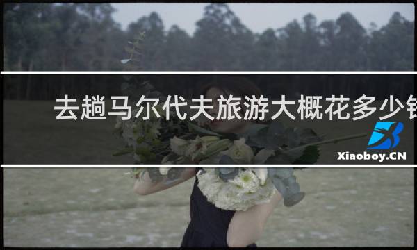 去趟马尔代夫旅游大概花多少钱