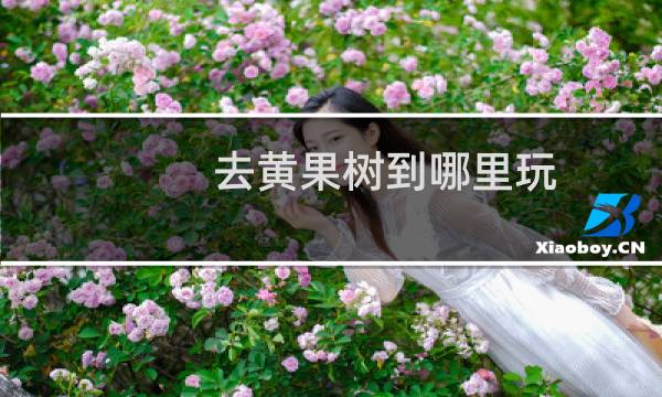 去黄果树到哪里玩