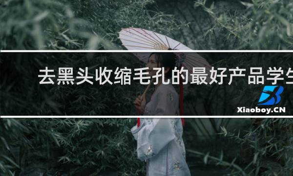 去黑头收缩毛孔的最好产品学生