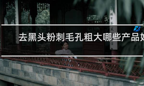 去黑头粉刺毛孔粗大哪些产品好