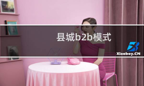 县城b2b模式