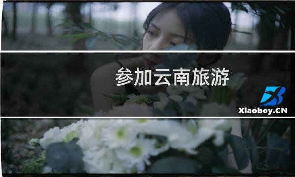 参加云南旅游