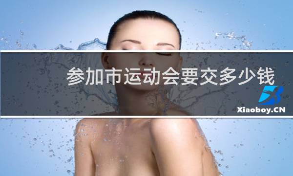 参加市运动会要交多少钱