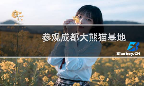 参观成都大熊猫基地