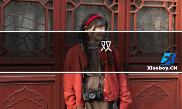 双 星价格