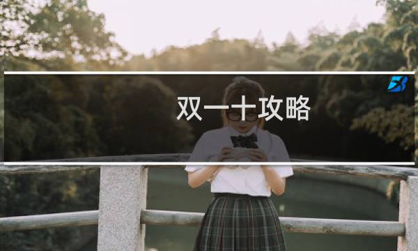 双一十攻略