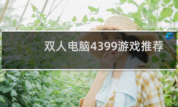 双人电脑4399游戏推荐