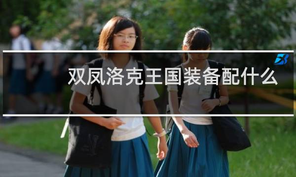 双凤洛克王国装备配什么