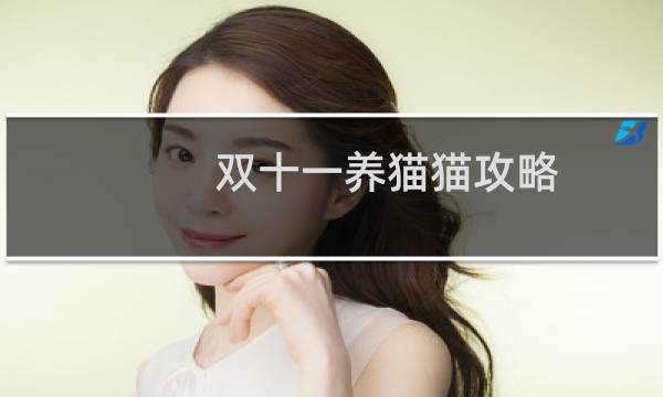 双十一养猫猫攻略