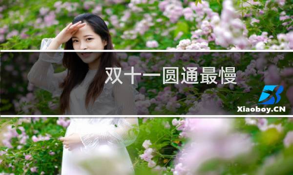 双十一圆通最慢