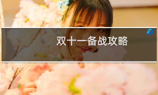 双十一备战攻略