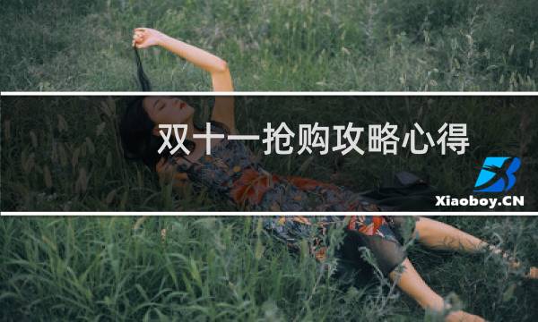 双十一抢购攻略心得