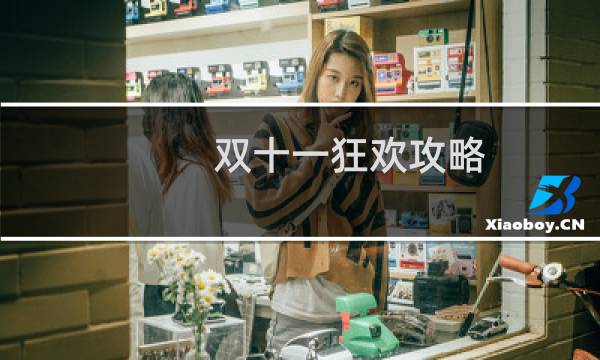 双十一狂欢攻略