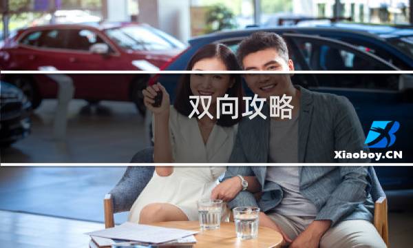 双向攻略