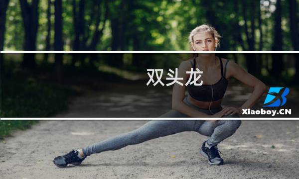 双头龙 攻略