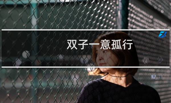 双子一意孤行