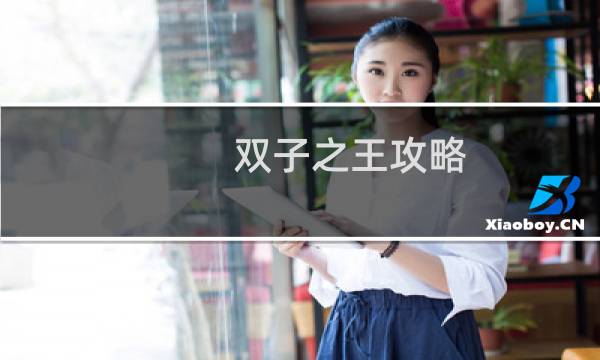 双子之王攻略